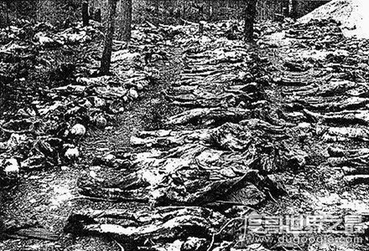 电影卡廷惨案真实历史故事，1940年苏联屠杀2.1万名波兰人