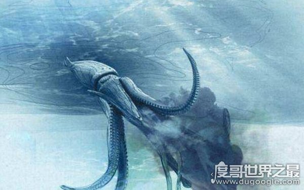 远古最大的乌贼，体积与蓝鲸相当（体长20米）