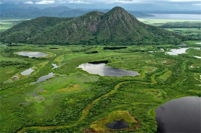 世界上最大的沼泽地 面积高达2500万公顷(潘塔纳尔沼泽)