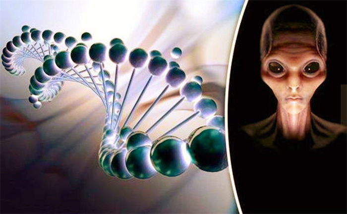 外星基因或许存在于人类的生命里（只是猜测）