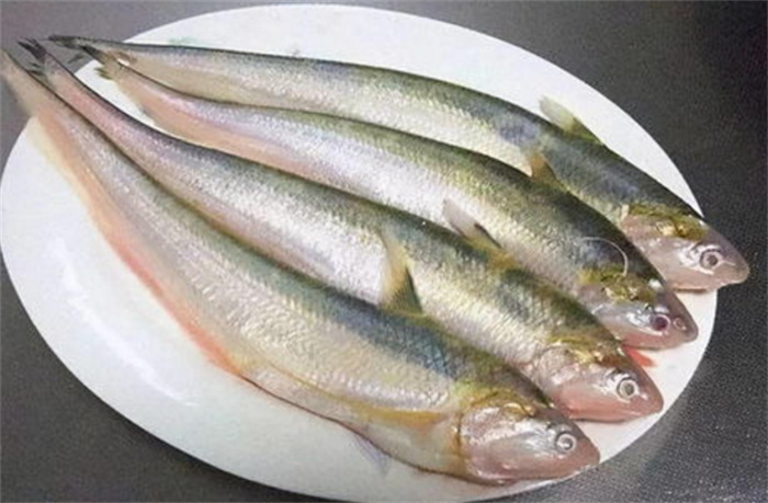 一斤七千块的长江刀鱼 为啥这么贵（长江刀鱼）