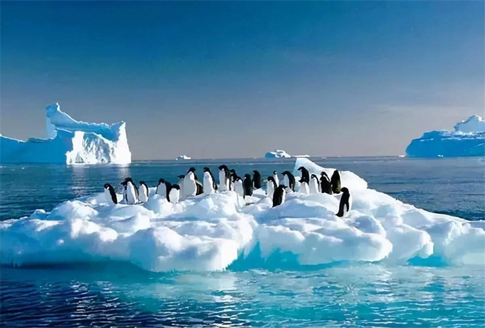 关于南极洲的几个奇特的理论 是真的吗？（五个理论）