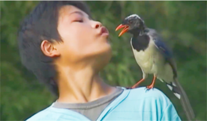 湖南地区出现鸟神 居然能和鸟对话（动物对话）