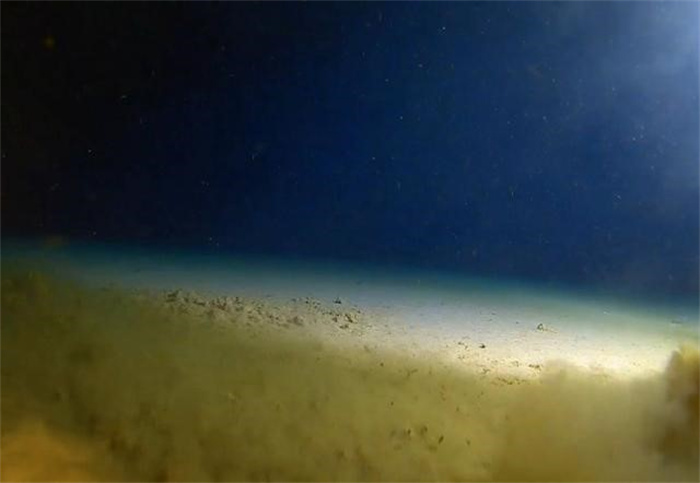 马里亚纳海沟 最深处的下面有外星生物吗（海洋生物）