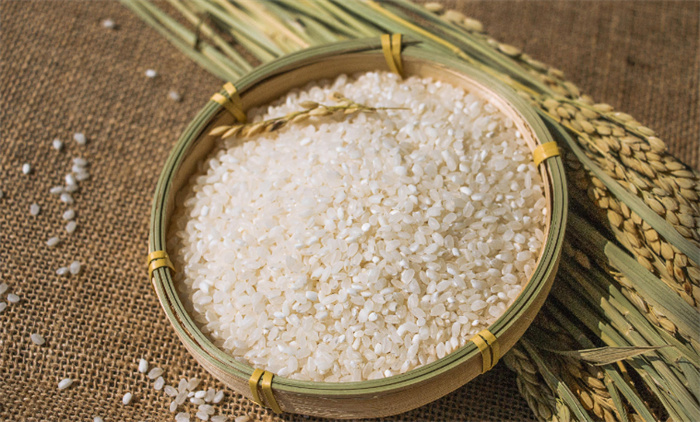 竹子和水稻的杂交 这种米能不能吃（新竹稻米）