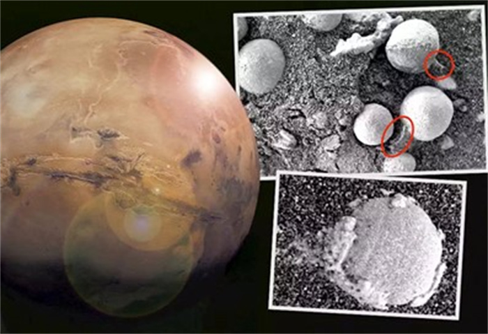 火星上发现蘑菇 正在生长（或是火星生命）