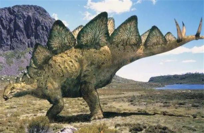 世界上最笨的恐龙是哪种 恐龙领域中的头号笨蛋(剑龙)