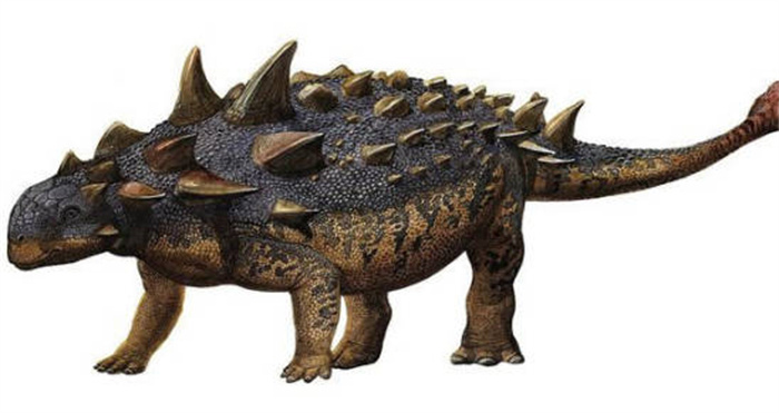世界上身体最宽的恐龙是哪种 体宽2~5米(甲龙)