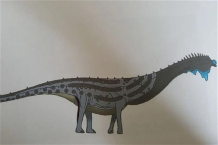 世界上最重的恐龙 体重达到180~220吨(易碎双腔龙)