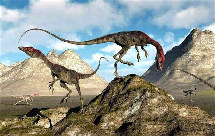 世界上最小的恐龙 体型和火鸡大小相似(美颌龙)