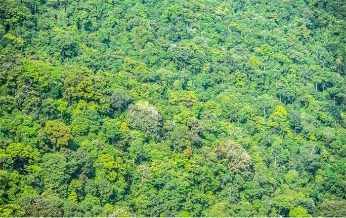 地球之肺亚马逊雨林  人类禁区有多恐怖  （气候恶劣）