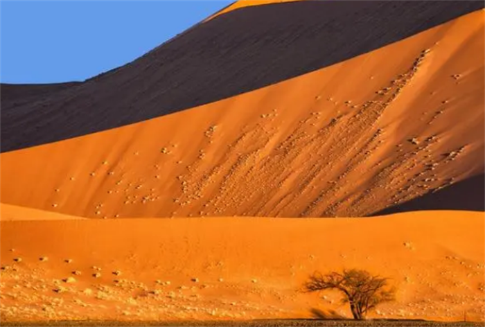 世界最受欢迎的滑沙之地 纳米比亚纳米比沙漠(很刺激)