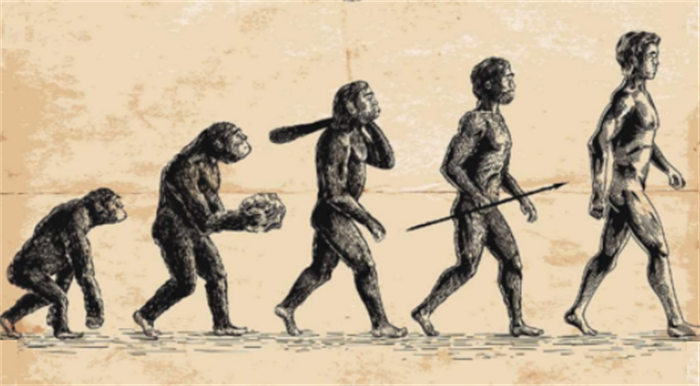 如果地球上所有人都消失  会在从猿猴开始进化吗  （不会）