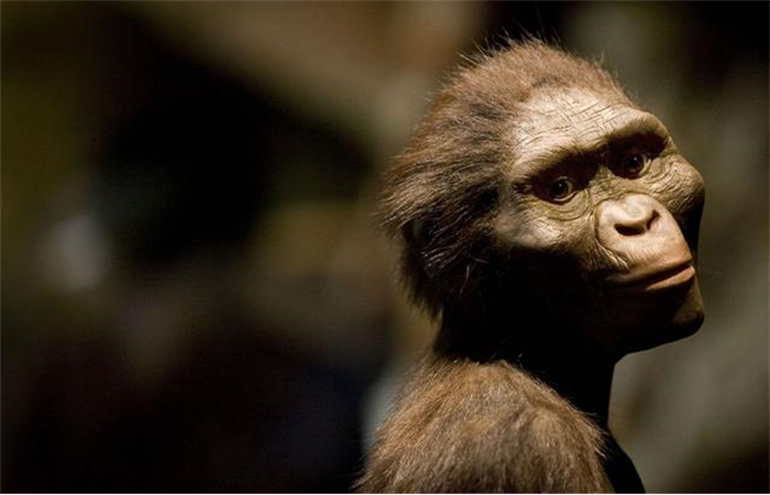 如果地球上所有人都消失  会在从猿猴开始进化吗  （不会）