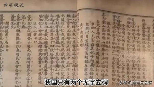 秦桧死后600多年，南京古墓中现“遗书”再掀千古谜团
