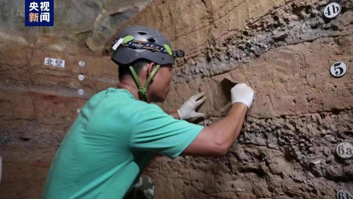 广西左江流域发现大型史前蛇类遗存 当地猎食蛇类史或达6000年