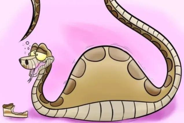 世界上最“肥”的毒蛇，身体和人腿一样粗，毒性是眼镜王蛇的3倍