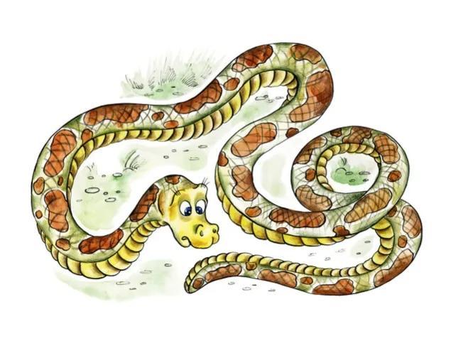 世界上最“肥”的毒蛇，身体和人腿一样粗，毒性是眼镜王蛇的3倍