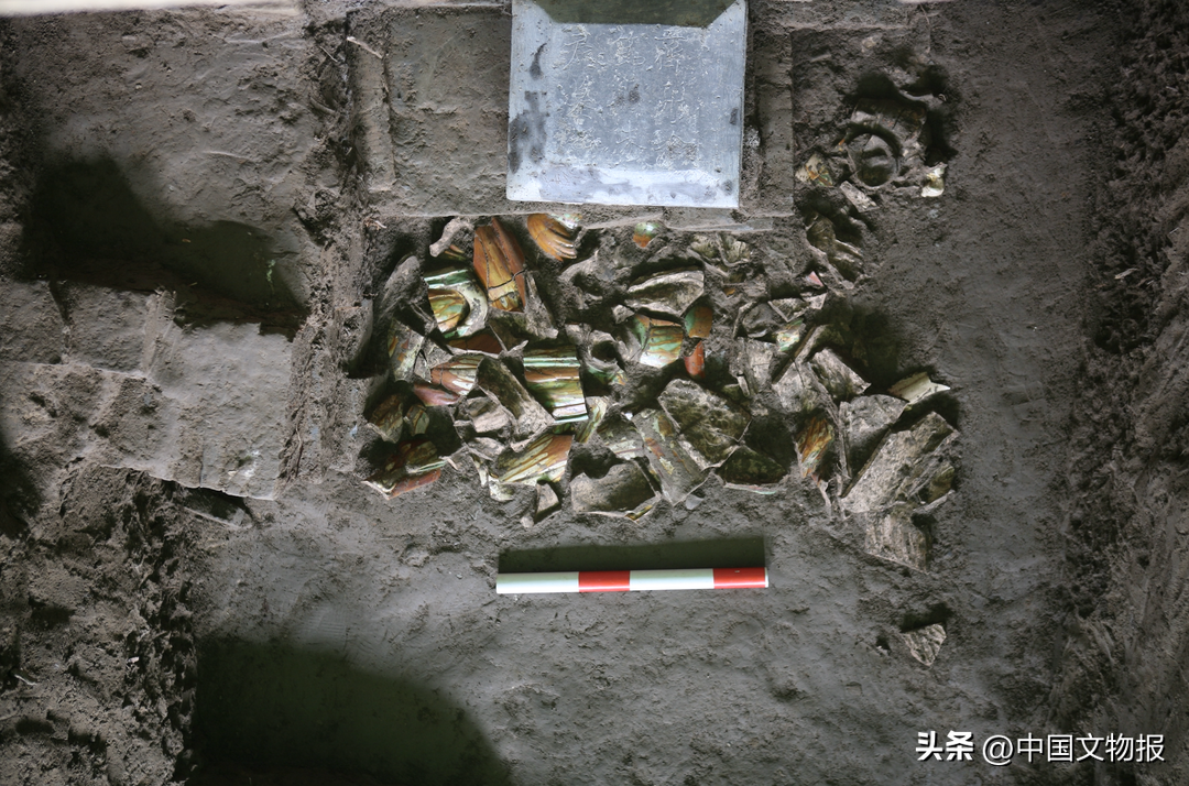 新发现 | 发现山东地区数量最多的唐三彩俑——济南樊家遗址M49考古收获