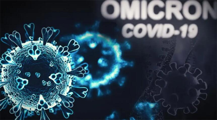 从Alpha到Omicron: 揭开COVID-19天然免疫力的秘密