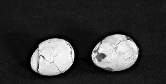 考古界最倔强的一颗鸡蛋：历经2000多年，是要成精么？