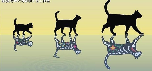 最重“薛定谔的猫”出现，有望催生更大更稳健量子比特