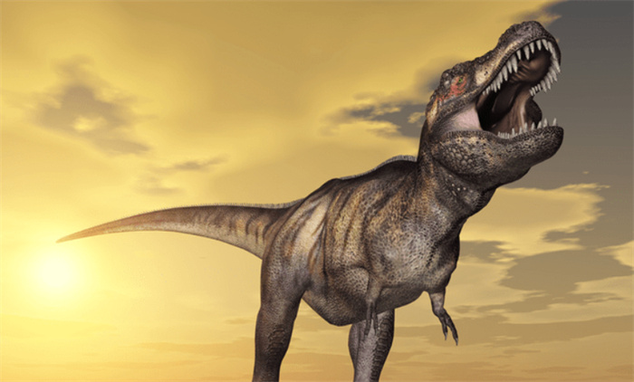 恐龙也会囤货 揭秘史前巨兽的储存食物之谜