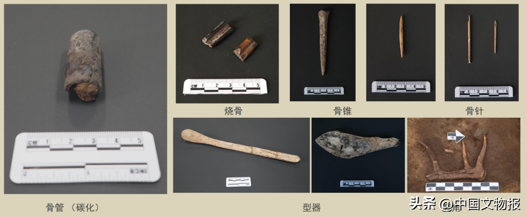 五项“考古中国”重大项目取得重要进展