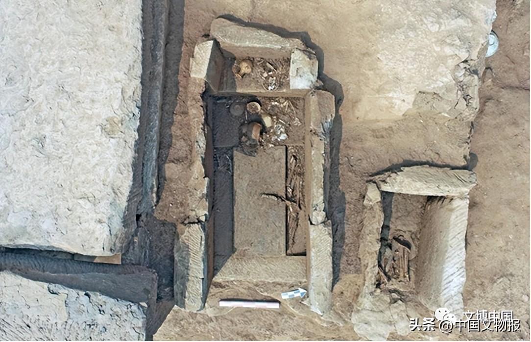新发现 | 重庆璧山区生基嘴墓群考古发掘取得新收获