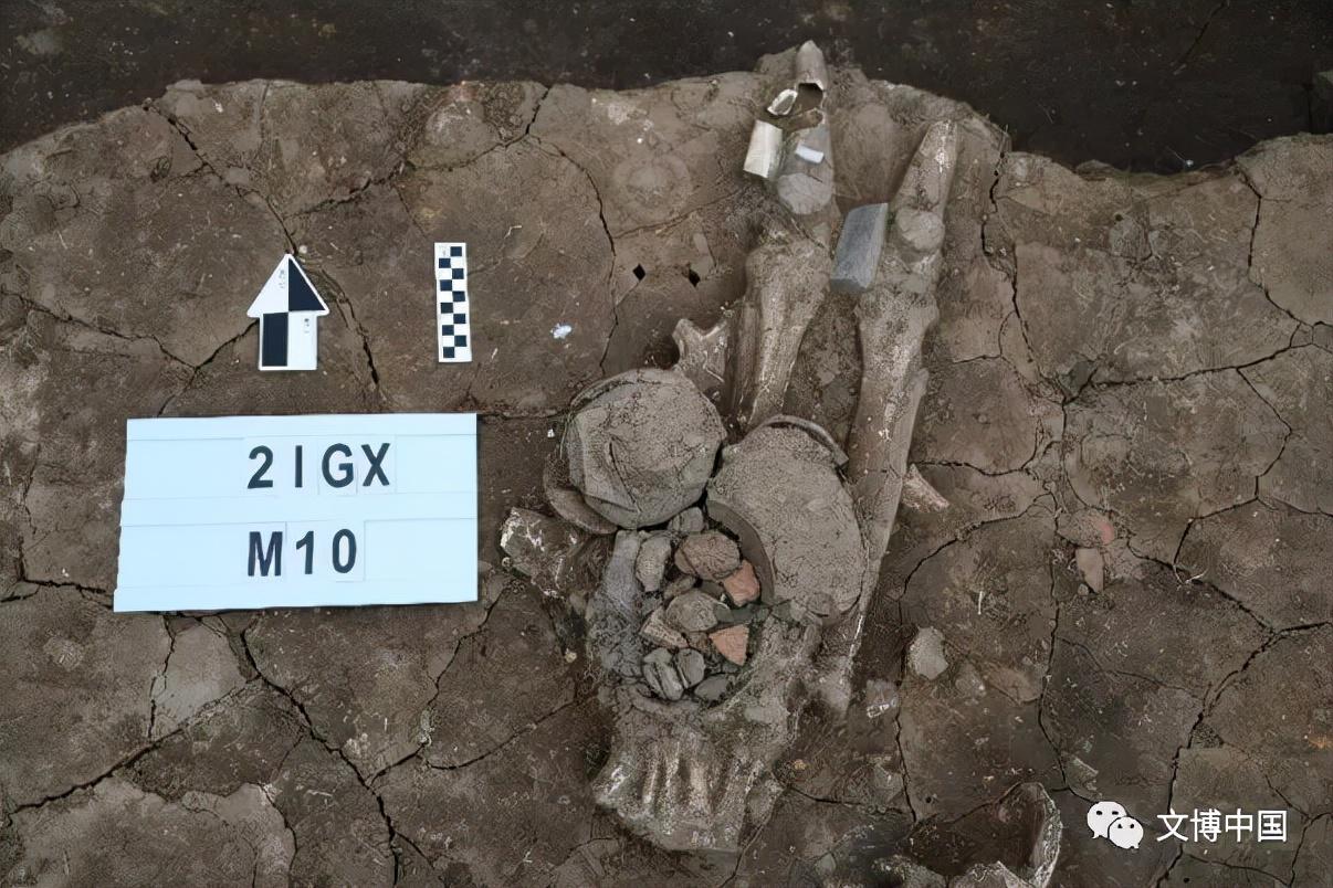 新发现丨薛城遗址发现南京地区最大规模史前墓地 出土“龙形”蚬壳堆塑遗迹