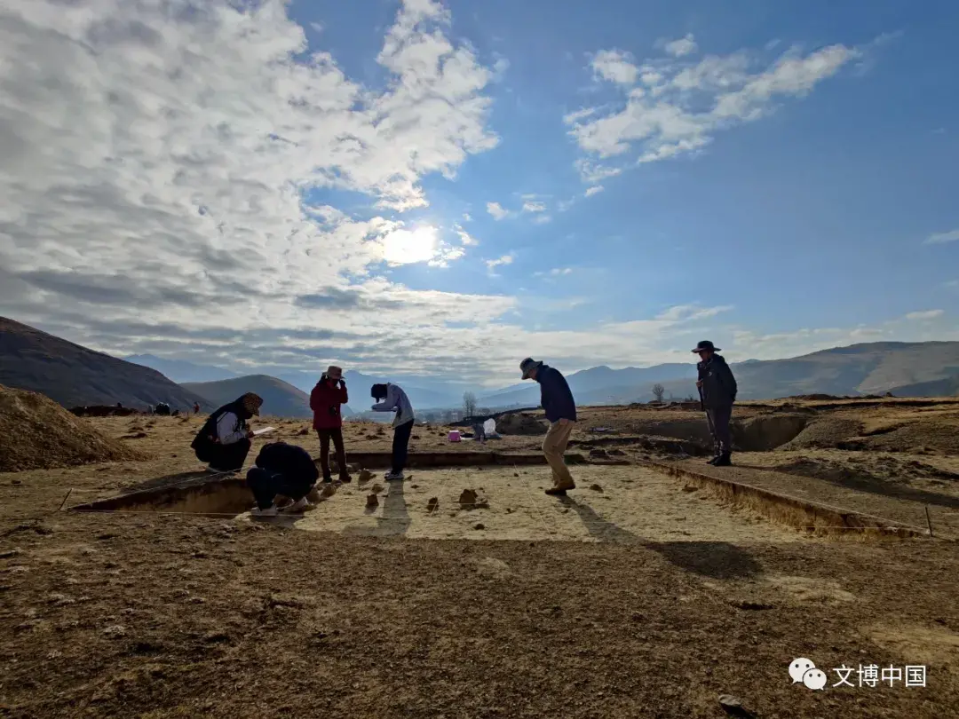 皮洛遗址系列报道之一 | 高海拔原地埋藏连续堆积 填补青藏高原旧石器考古空白