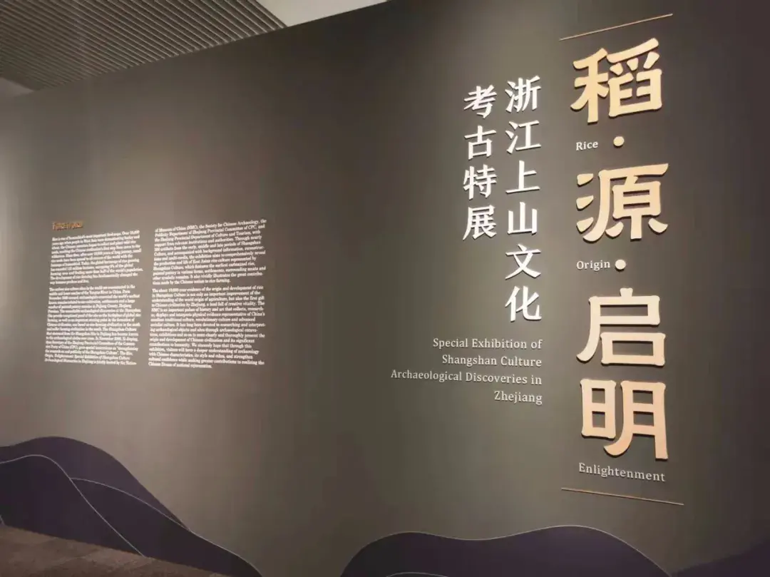 考古人说展 | 稻·源·启明——浙江上山文化考古特展