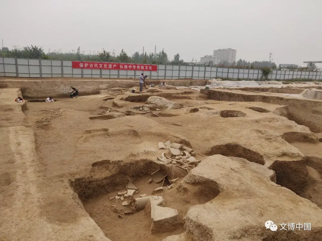 新发现 | 镐京遗址发现西周大型建筑基址、道路、陶排水管道、祭祀坑等重要遗迹