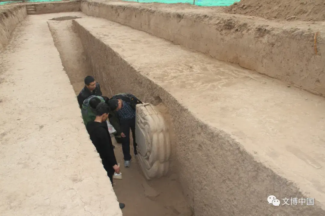 新发现 | 陕西发现北朝豆卢恩家族墓园 为首次发现最为完整的北周家族墓园