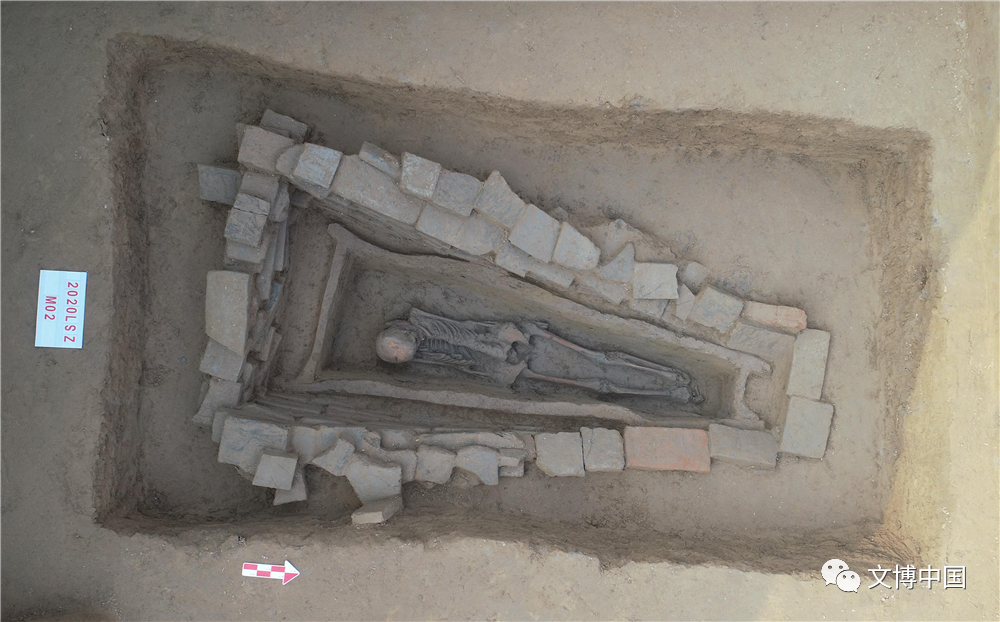 新发现 | 聊城绳张唐代墓地——山东唐代墓葬考古新发现
