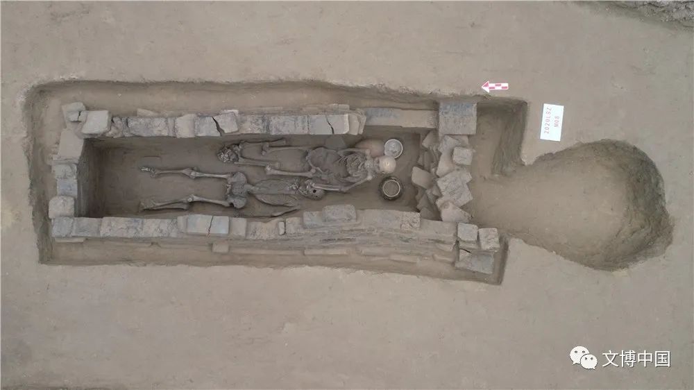 新发现 | 聊城绳张唐代墓地——山东唐代墓葬考古新发现