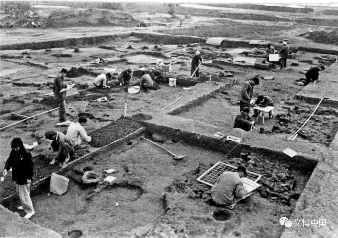 中国考古百年｜带你回顾半坡遗址的发掘