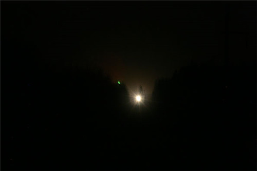 森林里频现神秘白光 有人怀疑是UFO的光源（实为汽车车灯）
