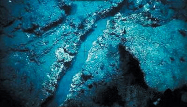 科学家在海底2446米深处发现单细胞微生物 称是海底最深环境的生