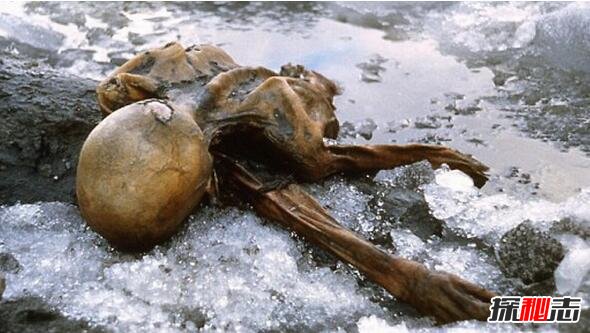 冰人奥兹诅咒之谜，五千年前惨遭谋杀被冰封