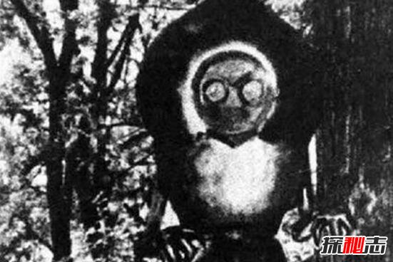 盘点世界十大未确认生物体，弗拉特伍兹怪物形似UFO