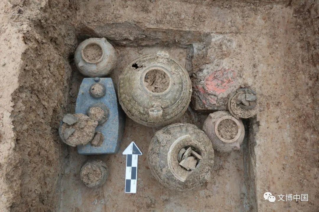 新发现 | 扬州三星叶桥地块考古发掘收获