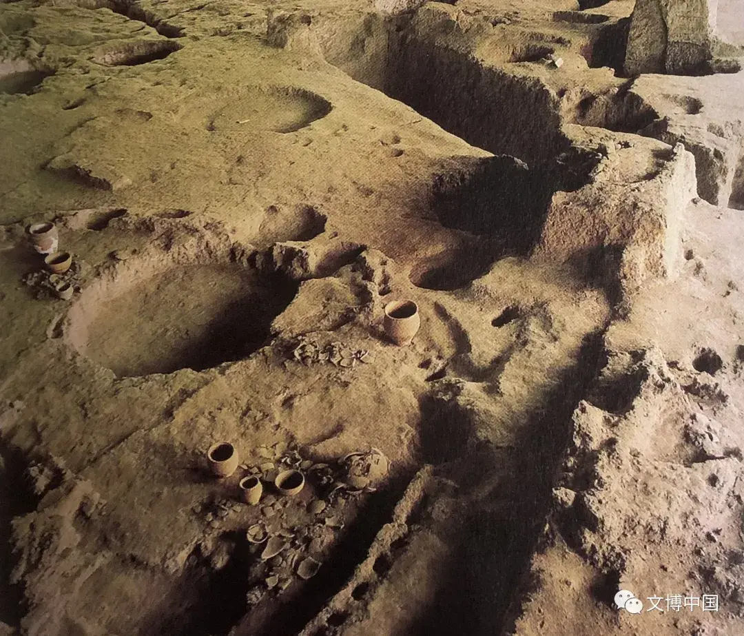 中国考古百年 | 石兴邦口述考古：谁发现了“半坡”