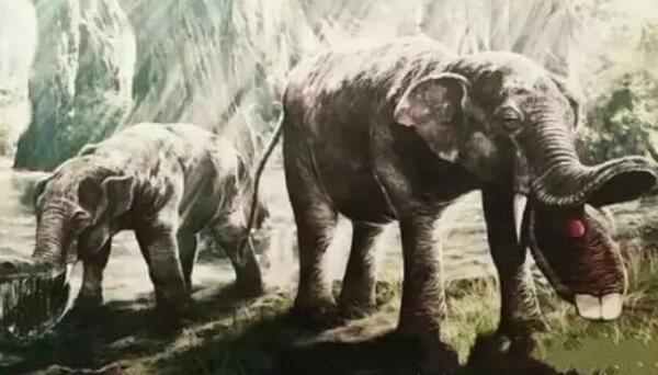 板齿象灭绝的原因，生存环境发生巨变（草原取代森林）
