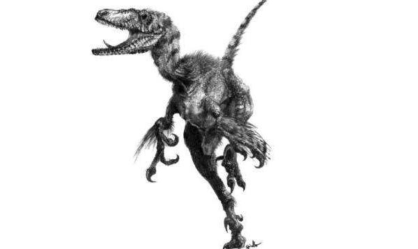 理查伊斯特斯龙：晚白垩世小型恐龙（体长仅两米）