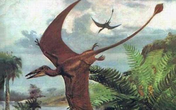 喙嘴龙：最早的翼龙（体长60厘米/生活在侏罗纪中晚期）