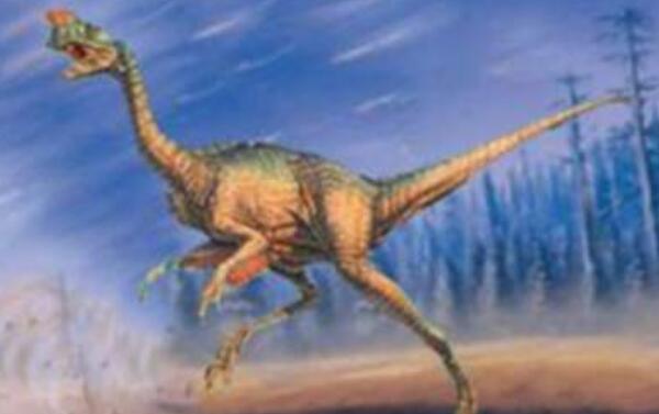 始兴龙：亚洲偷蛋龙科恐龙（长2米/发现于中国广东）