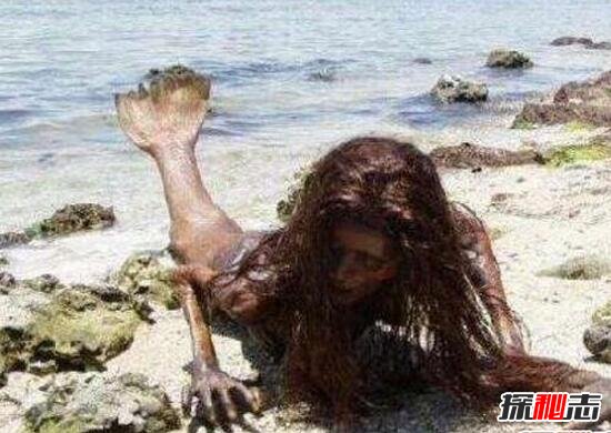 美人鱼传奇之谜，南斯拉夫海岸发现美人鱼化石