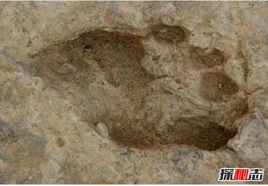 肯尼亚惊现150万年前脚印，科学证实是史前人类的脚印