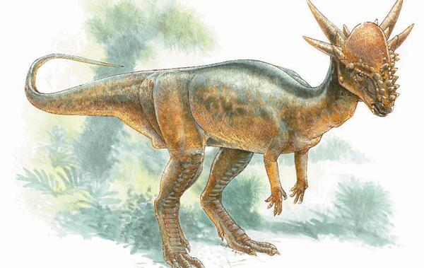 冥河龙：北美洲小型食草恐龙（长3米/长相怪异似羊似鹿）